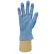 CARTON 10 BOITES 100 GANTS VINYLE BLEU NON POUDRES - GD13 - HPC